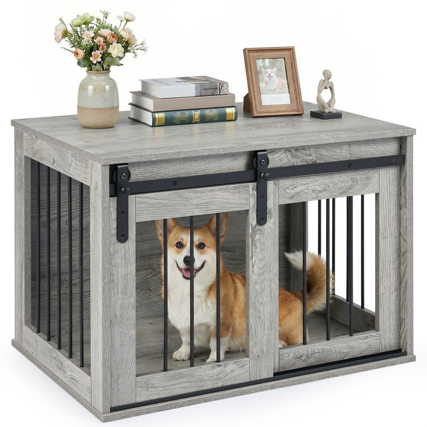 547009081